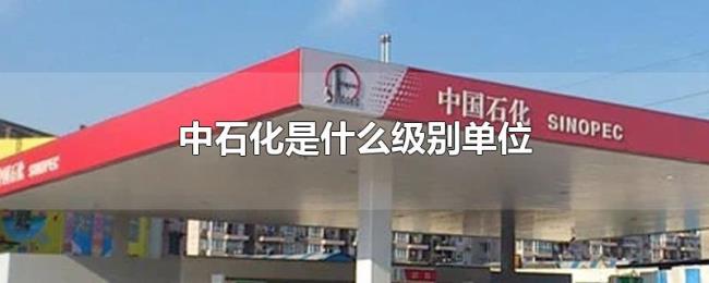 中石化是什么级别单位