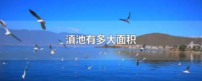 滇池有多大面积