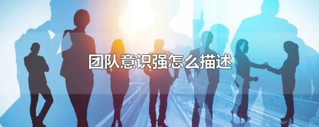 团队意识强怎么描述