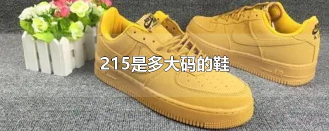 215是多大码的鞋 215是多大码的鞋