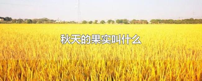 秋天的果实叫什么 秋天的果实叫什么