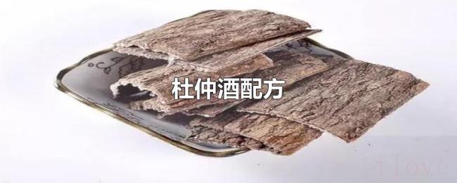 杜仲酒配方 杜仲酒配方