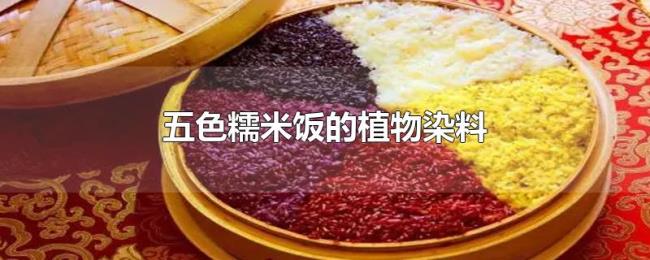 五色糯米饭的植物染料 五色糯米饭的植物染料