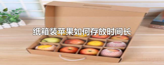 纸箱装苹果如何存放时间长