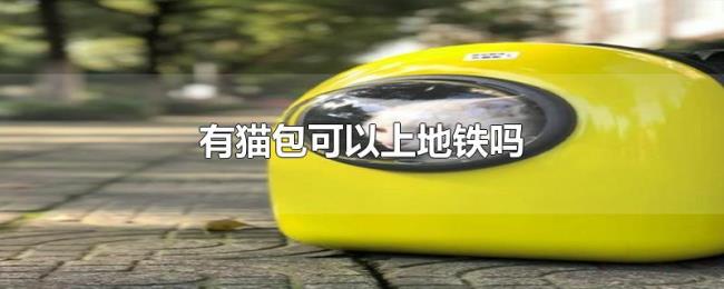 有猫包可以上地铁吗 有猫包可以上地铁吗