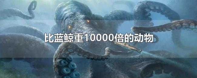 比蓝鲸重10000倍的动物