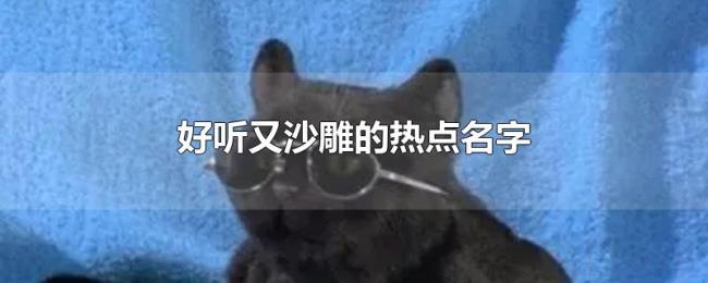 好听又沙雕的热点名字