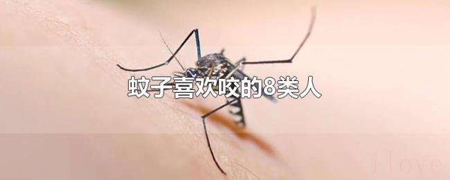 蚊子喜欢咬的8类人