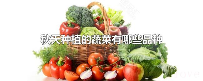 秋天种植的蔬菜有哪些品种 秋天种植的蔬菜有哪些品种