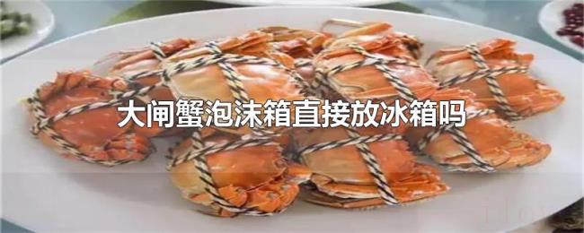 大闸蟹泡沫箱直接放冰箱吗