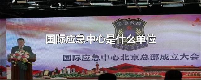 国际应急中心是什么单位
