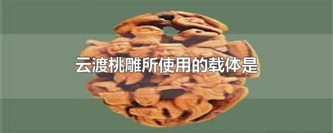 云渡桃雕所使用的载体是