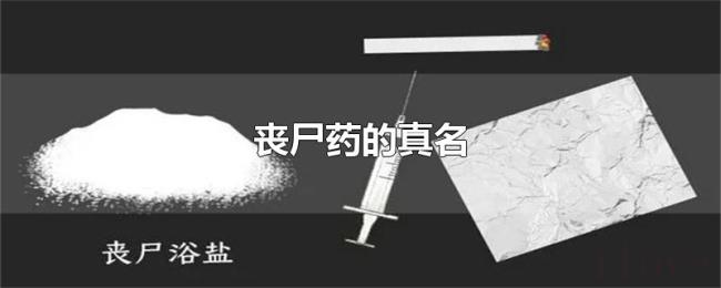 丧尸药的真名