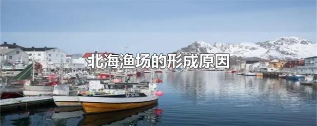北海渔场的形成原因