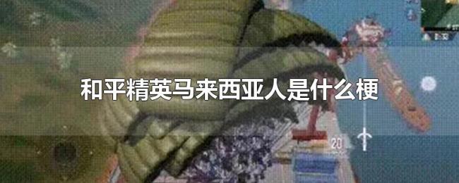 和平精英马来西亚人是什么梗