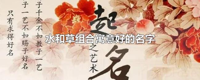 水和草组合寓意好的名字 水和草组合寓意好的名字