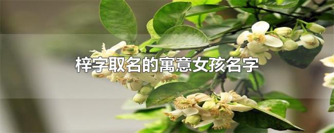 梓字取名的寓意女孩名字 梓字取名的寓意女孩名字