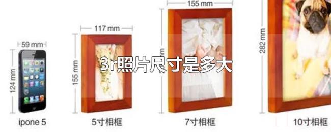 3r照片尺寸是多大