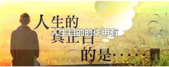 人生目的的作用有