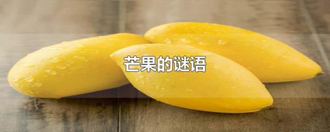 芒果的谜语