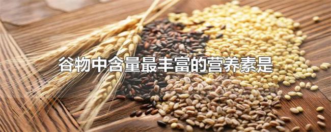 谷物中含量最丰富的营养素是 谷物中含量最丰富的营养素是