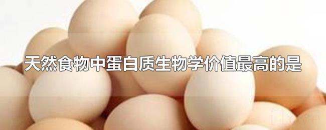 天然食物中蛋白质生物学价值最高的是