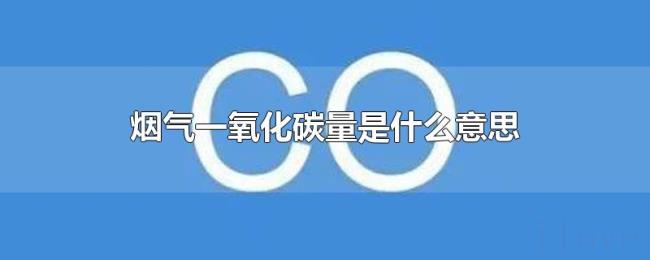 烟气一氧化碳量是什么意思