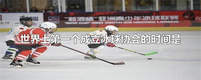 世界上第一个成立冰球协会的时间是