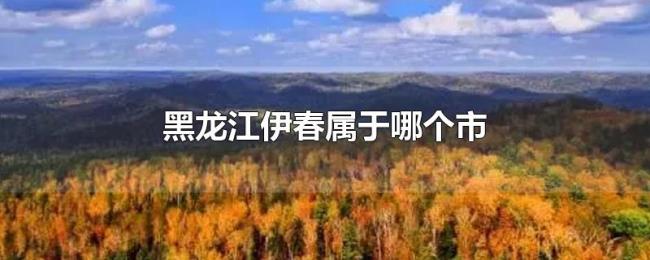 黑龙江伊春属于哪个市 黑龙江伊春属于哪个市