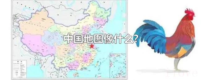 中国地图像什么?