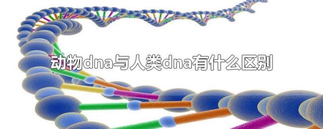 动物dna与人类dna有什么区别 动物dna与人类dna有什么区别