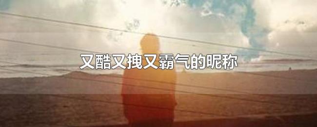 又酷又拽又霸气的昵称