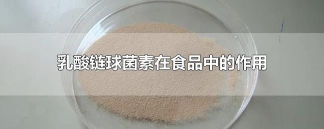 乳酸链球菌素在食品中的作用 乳酸链球菌素在食品中的作用