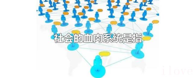 社会的血肉系统是指 社会的血肉系统是指