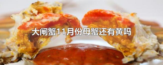 大闸蟹11月份母蟹还有黄吗 大闸蟹11月份母蟹还有黄吗