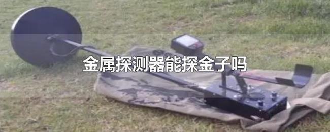 金属探测器能探金子吗