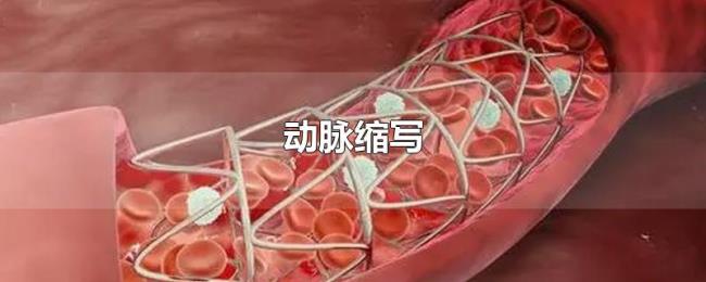 动脉缩写 动脉缩写