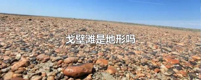 戈壁滩是地形吗 戈壁滩是地形吗