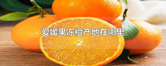 爱媛果冻橙产地在哪里