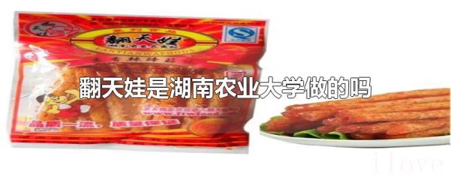 翻天娃是湖南农业大学做的吗