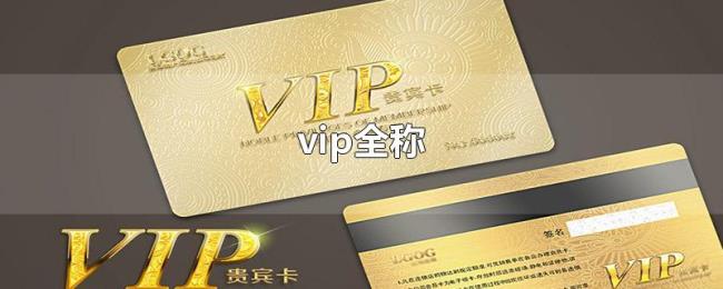 vip全称