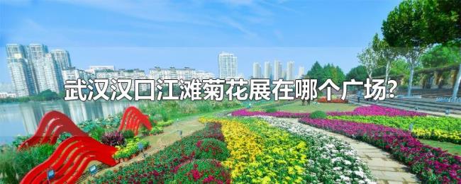 武汉汉口江滩菊花展在哪个广场?