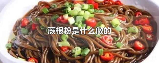 蕨根粉是什么做的 蕨根粉是什么做的