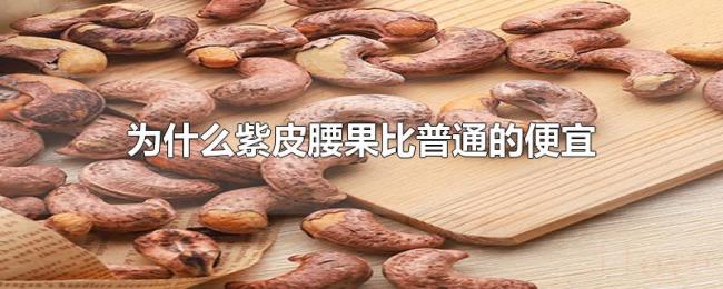为什么紫皮腰果比普通的便宜