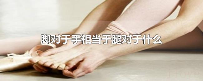 脚对于手相当于腿对于什么 脚对于手相当于腿对于什么