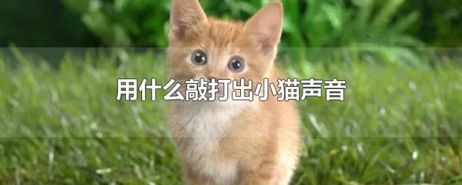 用什么敲打出小猫声音