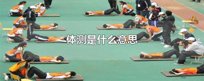 体测是什么意思 体测是什么意思