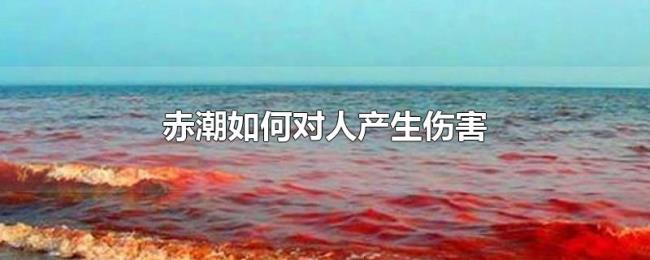 赤潮如何对人产生伤害