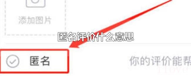 匿名评价什么意思