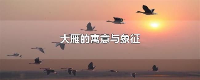 大雁的寓意与象征